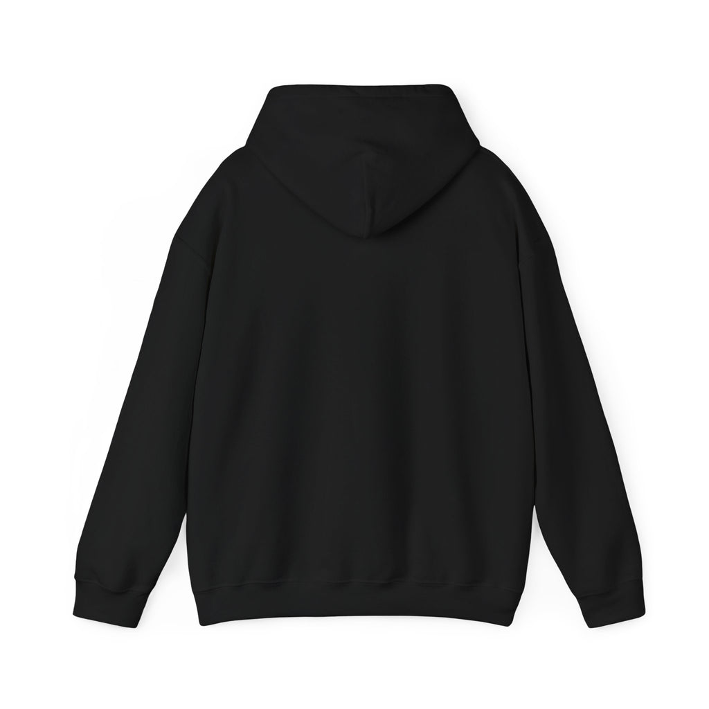 Spooky Pumpkin Cat Hoodie | Halloween Spooky Animals