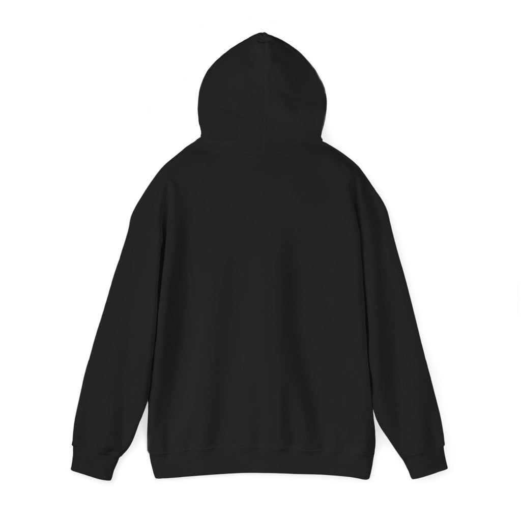 Spooky Pumpkin Cat Hoodie | Halloween Spooky Animals