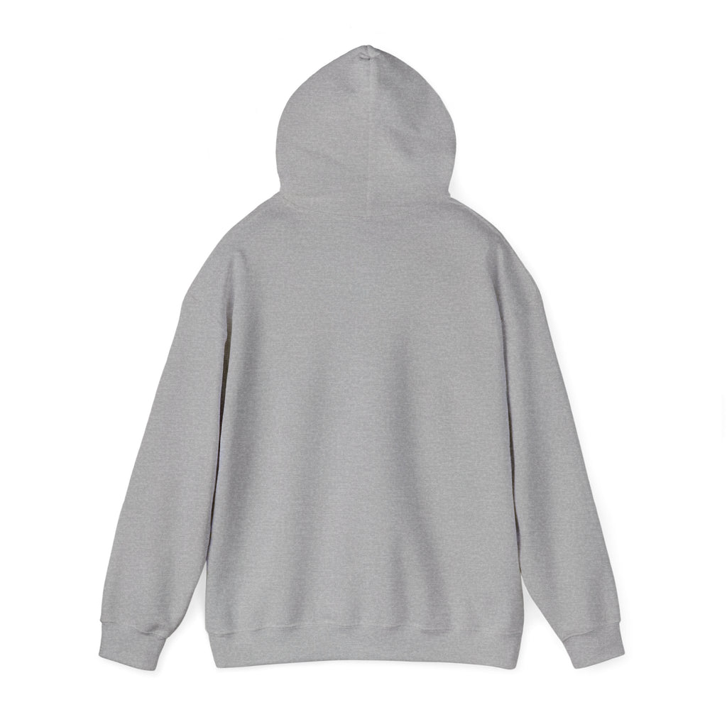 Spooky Pumpkin Cat Hoodie | Halloween Spooky Animals